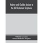 Hebrew and Chaldee lexicon to the Old Testament Scriptures; translated, with additions, and corrections from the author's Thesaurus and other works - Hardcover