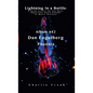 Lightning In a Bottle: A Book Series On the Most Important Rock Albums In Music History Album # 42 Dan Fogelberg Phoenix - Paperback