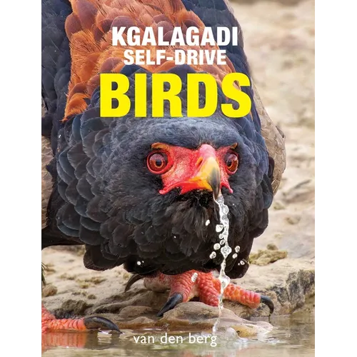 Kgalagadi Self-Drive Birds - Paperback