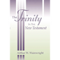 The Trinity in the New Testament - Paperback