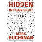 The Hidden in Plain Sight: The Secret of More - Paperback