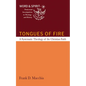 Tongues of Fire: A Systematic Theology of the Christian Faith - Hardcover