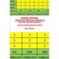 Horse Racing: The Statistical Route 2 - Paperback