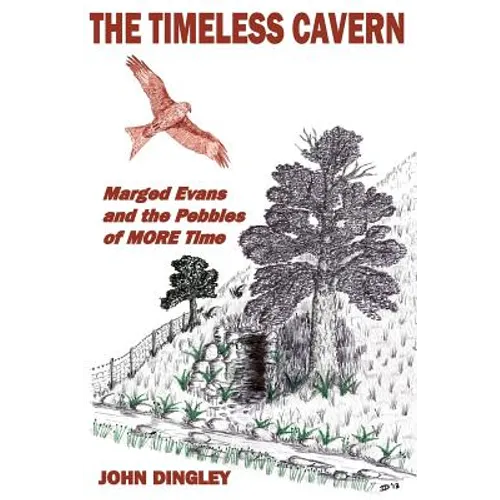 The Timeless Cavern: Marged Evans and the Pebbles of MORE Time - Paperback