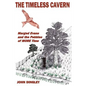 The Timeless Cavern: Marged Evans and the Pebbles of MORE Time - Paperback