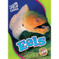 Eels - Library Binding