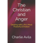 The Christian and Anger: Dealing with Life's Most Powerful Emotion - Paperback