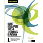 Quant Developers' Tools and Techniques - Paperback