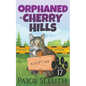 Orphaned in Cherry Hills - Paperback