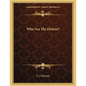 Who Are The Elohim? - Paperback