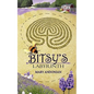 Bitsy's Labyrinth - Paperback