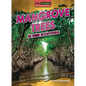Mangrove Trees in Their Ecosystems - Library Binding