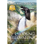 Choosing Yellowstone - Paperback