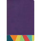 Rvr 1960 Biblia de Estudio Arcoiris, Morado/Multicolor - Imitation Leather