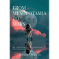 From Mesopotamia to Mars: The sanity of society is a balance of a thousand insanities. - Paperback