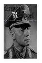 Erwin Rommel: The Life and Career of the Desert Fox - Paperback