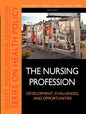 The Nursing Profession - Paperback