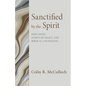 Sanctified by the Spirit: John Owen, Habits of Grace, and Biblical Counseling - Paperback