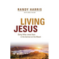 Living Jesus: Doing What Jesus Says in the Sermon on the Mount - Paperback