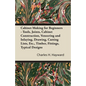 Cabinet Making for Beginners - Tools, Joints, Cabinet Construction, Veneering and Inlaying, Drawing, Cutting Lists, Etc., Timber, Fittings, Typical De - Paperback