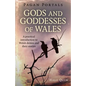 Pagan Portals - Gods and Goddesses of Wales: A Practical Introduction to Welsh Deities and Their Stories - Paperback