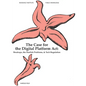 The Case for the Digital Platform Act: Breakups, Starfish Problems, & Tech Regulation - Paperback