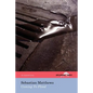Coming To Flood (The Hollyridge Press Chapbook Series) - Paperback