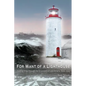 For Want of A Lighthouse: Guiding Ships Through the Graveyard of Lake Ontario 1828-1914 - Paperback