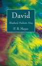 David - Hardcover