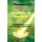 Pebbles, Blisters, and Handfuls of Sunlight: Treasures of a Traveling Teenager - Paperback