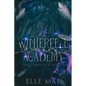 Winterfell Academy: A dark bully why choose - Paperback