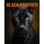 Black Panther: Fun Facts Book for Kids with Amazing Photos - Paperback