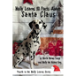 Molly Learns 10 Facts About Santa Claus - Hardcover