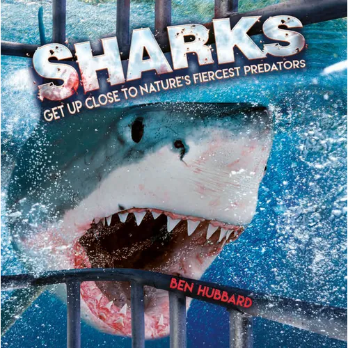 Sharks: Get Up Close to Nature's Fiercest Predators - Paperback