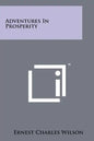 Adventures in Prosperity - Paperback
