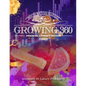 Growing 360: Financial Literacy Edition - Paperback