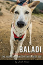 Baladi: The Journey of an Egyptian Street Dog - Paperback
