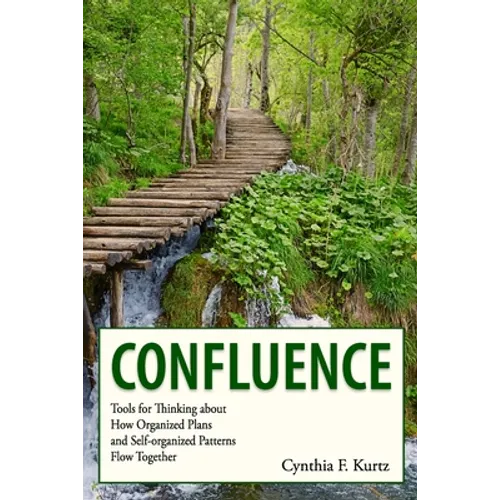 Confluence: Tools for Thinking about How Organized Plans and Self-organized Patterns Flow Together - Paperback