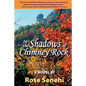 In the Shadows of Chimney Rock - Paperback