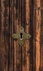 Discrete Password Logbook: "Locked Door" Edition - Hardcover