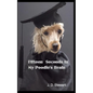 Fifteen seconds in My Poodle's Brain - Paperback