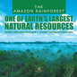 The Amazon Rainforest: One of Earth's Largest Natural Resources Children's Books about Forests Grade 4 Children's Environment & Ecology Books - Paperback