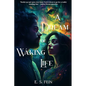 A Dream of Waking Life - Paperback