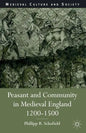Peasant and Community in Medieval England, 1200-1500 - Paperback