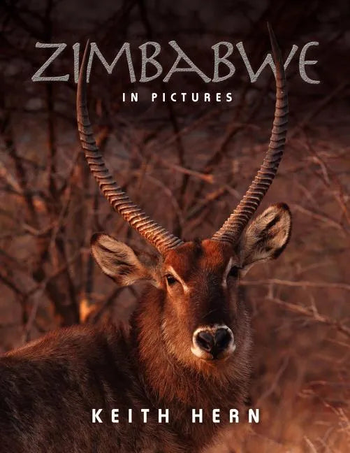 Zimbabwe in Pictures - Paperback