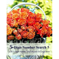 5-Digit Number Search 5: 120 5-Digit Number Find Puzzles in Large Print - Paperback