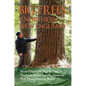 Big Trees of Northern New England - Paperback