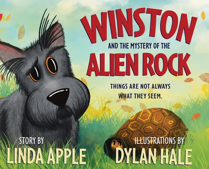 Winston and the Mystery of the Alien Rock - Hardcover