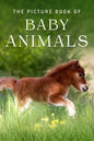 The Picture Book of Baby Animals: A Gift Book for Alzheimer's Patients and Seniors with Dementia - Paperback