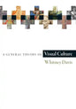 A General Theory of Visual Culture - Paperback
